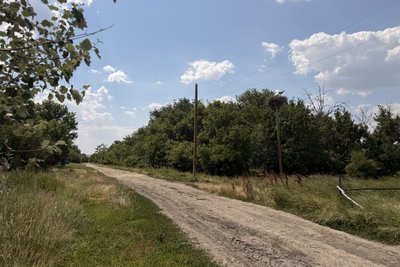 Щоденники забутих сіл: хутір Богданівський Щоденники забутих сіл: хутір Богданівський