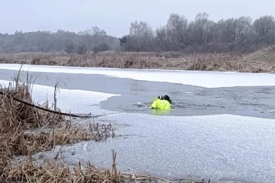 З річки Турія на Волині врятували пса