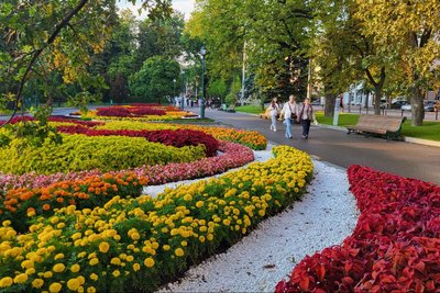 Клумба у саду Шевченка у Харкові Клумба у саду Шевченка у Харкові
