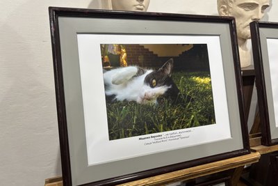 На Житомирщині нагородили переможців конкурсу фотографії "Літні канікули в рідній Україні" На Житомирщині нагородили переможців конкурсу фотографії "Літні канікули в рідній Україні"