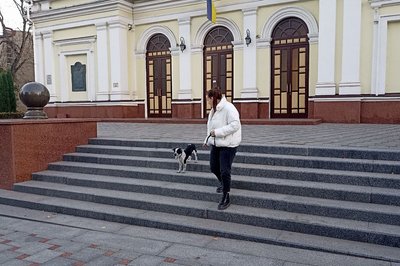 Як пес-переселенець зі Сходу тішить глядачів житомирської філармонії Як пес-переселенець зі Сходу тішить глядачів житомирської філармонії