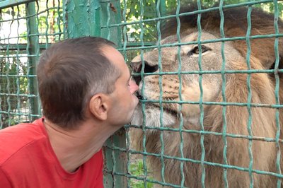 Олексій Колендовський з левом Бертом, якого повернули до харківського екопарку з евакуації, Лісне, Харківська область, 28 серпня 2023 року. Фото: Олена Клименко/Суспільне Харків Олексій Колендовський з левом Бертом, якого повернули до харківського екопарку з евакуації, Лісне, Харківська область, 28 серпня 2023 року. Фото: Олена Клименко/Суспільне Харків