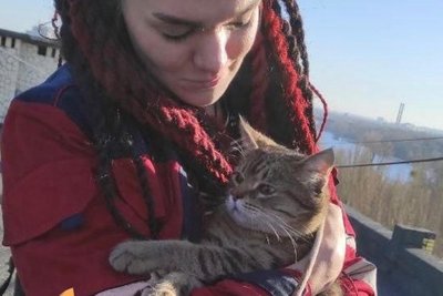 Волонтери підняли кота з вентиляції в Києві на глибини кількох поверхів Волонтери підняли кота з вентиляції в Києві на глибини кількох поверхів