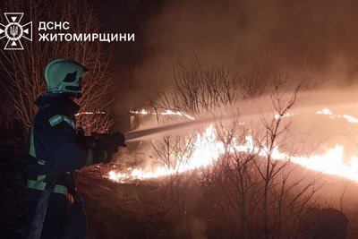 115 загорянь сухої трави за добу — на двох із них травмувалися люди 115 загорянь сухої трави за добу — на двох із них травмувалися люди
