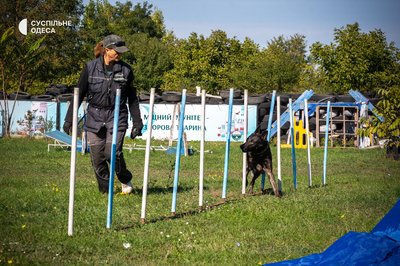 Подружжя кінологів з Одеси готує собак до роботи на місцях ракетних ударів та пожеж