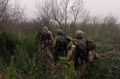 Мопіхоти пересуваються островами на Дніпрі на півдні Мопіхоти пересуваються островами на Дніпрі на півдні