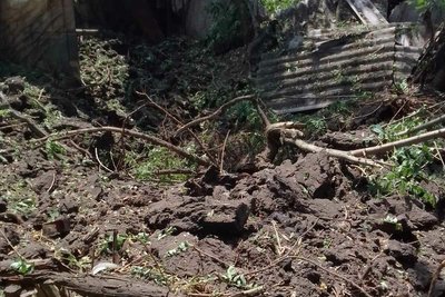 одноробівка одноробівка