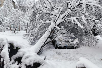 Снігопад на Донеччині 31 березня Снігопад на Донеччині 31 березня