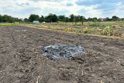 Понад 800 пожеж виникли в екосистемах Житомирщини від початку року: серед причин —самовільне спалення трави Понад 800 пожеж виникли в екосистемах Житомирщини від початку року: серед причин —самовільне спалення трави