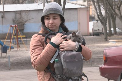 У Харкові планують вакцинувати від сказу 3500 тварин