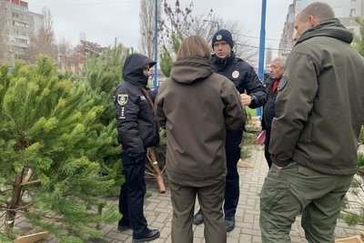 Виявили порушення: у Миколаєві перевіряють місця продажу ялинок Виявили порушення: у Миколаєві перевіряють місця продажу ялинок