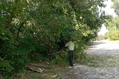 Зірвані дахи, повалені дерева та вулиці без світла: наслідки негоди в Очиткові на Вінниччині Зірвані дахи, повалені дерева та вулиці без світла: наслідки негоди в Очиткові на Вінниччині
