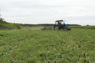 "Найбільше побив фрукти та озимину". Як травневі заморозки зіпсували врожай аграріям Донеччини "Найбільше побив фрукти та озимину". Як травневі заморозки зіпсували врожай аграріям Донеччини