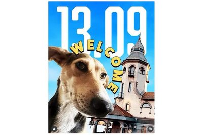 добірка роо добірка роо