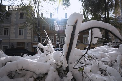 Засніжена Одеса після негоди у листопаді Засніжена Одеса після негоди у листопаді
