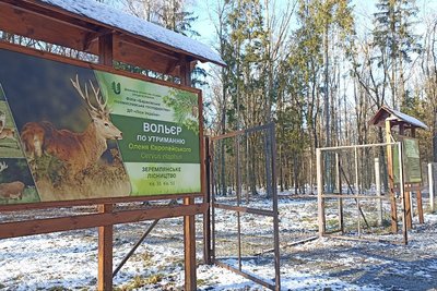 Підгодівля диких тварин з настанням холодів на Житомирщині: чим годують лісових звірів Підгодівля диких тварин з настанням холодів на Житомирщині: чим годують лісових звірів