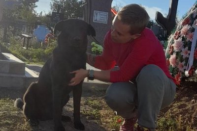 Біля могили одеського зоозахисника, який загинув на війні, знайшли 10 цуценят Біля могили одеського зоозахисника, який загинув на війні, знайшли 10 цуценят