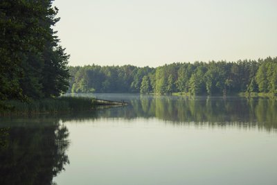 Івана Хрестителя чи Івана Купала — на Житомирщині розповіли, що відомо про ці 2 свята та чому їх відзначають в один день Івана Хрестителя чи Івана Купала — на Житомирщині розповіли, що відомо про ці 2 свята та чому їх відзначають в один день