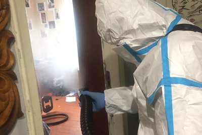 У місті на Волині виявили хвору на сказ лисицю: тварину ліквідували У місті на Волині виявили хвору на сказ лисицю: тварину ліквідували