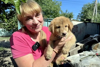 Життя без «плану Б»: як зооволонтери Краматорська рятують покинутих тварин із «гарячих» точок Донеччини Життя без «плану Б»: як зооволонтери Краматорська рятують покинутих тварин із «гарячих» точок Донеччини