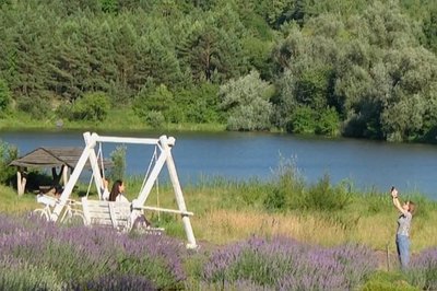 Лавандове поле Городоцької громади на Хмельниччині: релакс із безкоштовними фотозонами Лавандове поле Городоцької громади на Хмельниччині: релакс із безкоштовними фотозонами