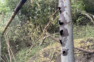 "Це була «касетка»". Місцеві жителі показали наслідки удару з РСЗВ по Сумах "Це була «касетка»". Місцеві жителі показали наслідки удару з РСЗВ по Сумах
