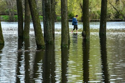 Чоловік босоніж йде по воді, яка залила зону відпочинку у столичному Гідропарку, Київ, 17 квітня 2023 року Чоловік босоніж йде по воді, яка залила зону відпочинку у столичному Гідропарку, Київ, 17 квітня 2023 року