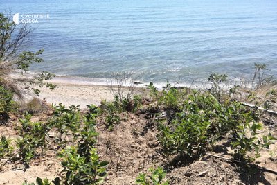 Скандал в одеській Чорноморці: для будівництва дороги частково "підрізали" схил біля моря Скандал в одеській Чорноморці: для будівництва дороги частково "підрізали" схил біля моря