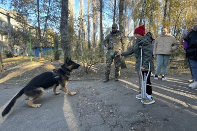 Чотирилапі терапевти: як собаки допомагають маленьким пацієнтам миколаївської лікарні Чотирилапі терапевти: як собаки допомагають маленьким пацієнтам миколаївської лікарні