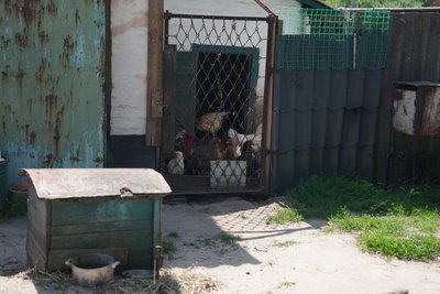 "Нікуди вже звідси не поїдемо". Як облаштувалися переселенці з Краснопільської громади на Лебединщині "Нікуди вже звідси не поїдемо". Як облаштувалися переселенці з Краснопільської громади на Лебединщині