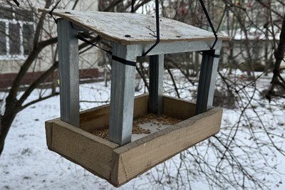 На Сумщині тривають морози: як врятувати вуличних тварин і птахів від переохолодження На Сумщині тривають морози: як врятувати вуличних тварин і птахів від переохолодження