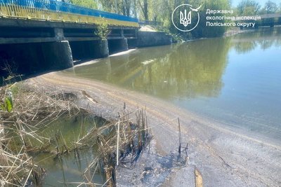 Загинули понад 3 тисячі рибин: екологи зафіксували мор риби у річці Мика на Житомирщині Загинули понад 3 тисячі рибин: екологи зафіксували мор риби у річці Мика на Житомирщині