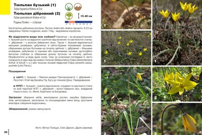 На Миколаївщині надрукували атлас, присвячений рідкісним рослинам природного парку "Бузький гард" На Миколаївщині надрукували атлас, присвячений рідкісним рослинам природного парку "Бузький гард"