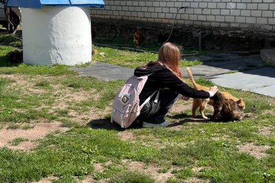 Школярка із Житомирщини зібрала смарт-браслет для людей із порушенням зору та створила лазерну іграшку для кошеняти Школярка із Житомирщини зібрала смарт-браслет для людей із порушенням зору та створила лазерну іграшку для кошеняти