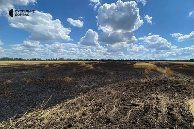Поле пшениці на Донеччині, яке згоріло через обстріл