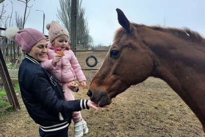 Спілкування з конями. У Миколаєві проводять заняття з іповенції