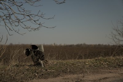 Нововоронцовка Херсонщина посівна снаряди поля Нововоронцовка Херсонщина посівна снаряди поля