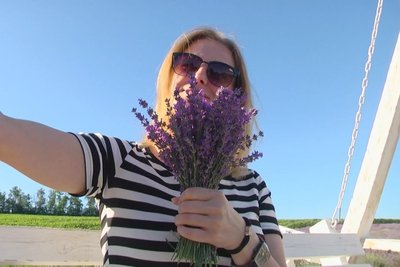 Лавандове поле Городоцької громади на Хмельниччині: релакс із безкоштовними фотозонами Лавандове поле Городоцької громади на Хмельниччині: релакс із безкоштовними фотозонами