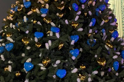 У Києві відкрили головну ялинку країни