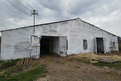 Чому загинули корови на держпідприємстві "Рихальське" на Житомирщині: що каже керівництво та експрацівники Чому загинули корови на держпідприємстві "Рихальське" на Житомирщині: що каже керівництво та експрацівники