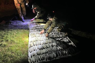 У "Тузловських лиманах" на Одещині затримали браконьєра: збитки понад 8 млн грн У "Тузловських лиманах" на Одещині затримали браконьєра: збитки понад 8 млн грн