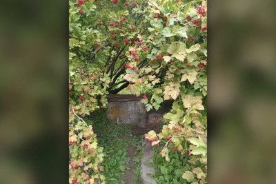 У селах Роменщини пересихають колодязі, а у Путивлі вода непридатна через залізо У селах Роменщини пересихають колодязі, а у Путивлі вода непридатна через залізо