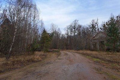 За 10 кілометрів до межі із Білоруссю: як живе село у прикордонній громаді на Житомирщині За 10 кілометрів до межі із Білоруссю: як живе село у прикордонній громаді на Житомирщині
