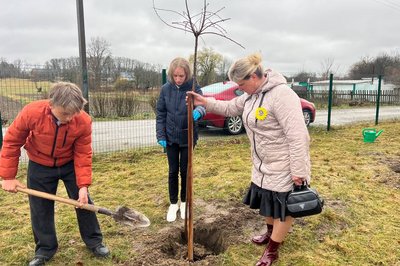 В селі на Житомирщині в пам'ять про загиблих військових висадили алею сакур В селі на Житомирщині в пам'ять про загиблих військових висадили алею сакур