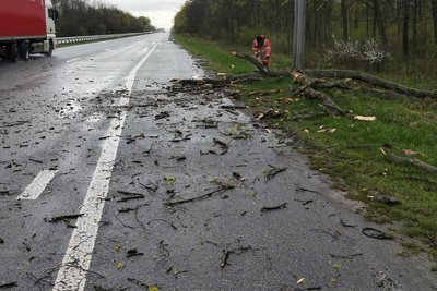 Сильний вітер на Житомирщині повалив дерева на дороги: без світла залишаються 27 населених пунктів Сильний вітер на Житомирщині повалив дерева на дороги: без світла залишаються 27 населених пунктів