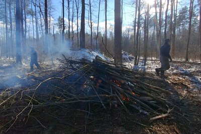 Палили в лісі зрубане гілляччя: на Житомирщині оштрафували чотирьох місцевих жителів Палили в лісі зрубане гілляччя: на Житомирщині оштрафували чотирьох місцевих жителів