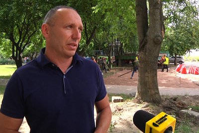 У центрі Житомира зрізали стару березу — на території поблизу у міжнародний день молоді розташують гамак-парк У центрі Житомира зрізали стару березу — на території поблизу у міжнародний день молоді розташують гамак-парк