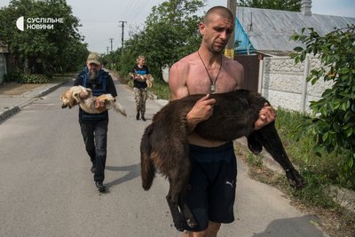 Зооволонтери у Херсоні рятують собак з підтопленого Корабелу