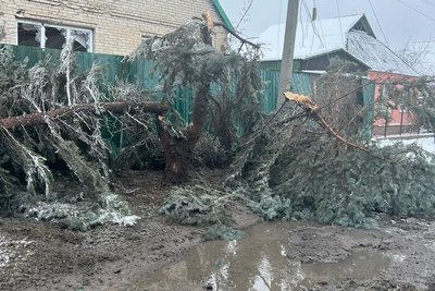 Російські окупанти 24 листопада обстріляли Вовчанськ: поранений чоловік Російські окупанти 24 листопада обстріляли Вовчанськ: поранений чоловік