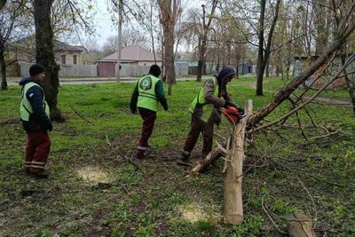 У Харкові через пориви вітру впали дерева У Харкові через пориви вітру впали дерева